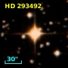 HD 293492