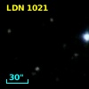 LDN 1021
