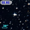 SS  85