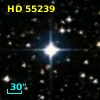 HD  55239