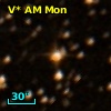 V* AM Mon