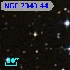 NGC  2343    44