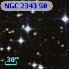 NGC  2343    50