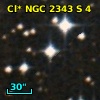 Cl* NGC 2343      S       4