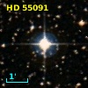 HD  55091