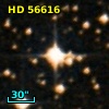 HD  56616