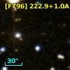 [FT96] 222.9+1.0A