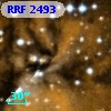 RRF 2493