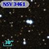 NSV  3461