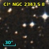 Cl* NGC 2343      S       8