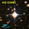 HD  55981