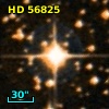 HD  56825