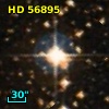 HD  56895
