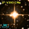V* V393 CMa