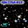 NEK 229.0-01.9