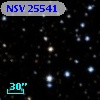 NSV 25541