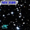 NSV  3509