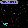 NSV 25560