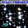 Cl* NGC 2360    EGG      D