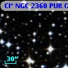 Cl* NGC 2360    PUR      G