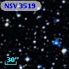 NSV  3519