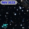 NSV  3523