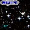 [M81] I-75