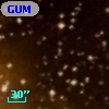 GUM  5