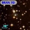 BRAN   7D