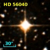 HD  56040