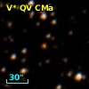 V* QV CMa