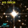 HD  56636