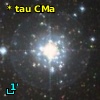 V* tau CMa