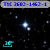 TYC 3602-1462-1