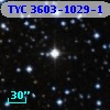 TYC 3603-1029-1