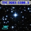 TYC 3603-1100-1
