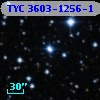 TYC 3603-1256-1
