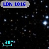 LDN 1016