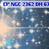 Cl* NGC 2362     DH      67