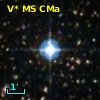 V* MS CMa