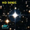 HD  56901
