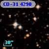 CD-31  4290
