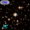 TYC 7103-1735-1