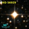 HD  56929
