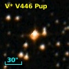 V* V446 Pup