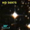 HD  56975