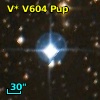 V* V604 Pup