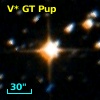 V* GT Pup
