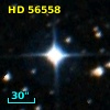 HD  56558