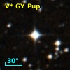 V* GY Pup